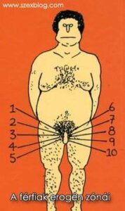 férfi erogén zonák